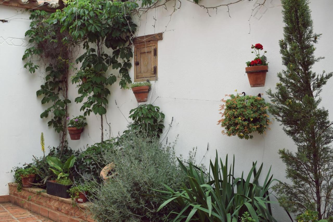 Apartament Turisticos La Vida De Antes